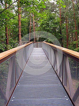 Botanical trail, park in AnykÅ¡Äiai, Lithuania